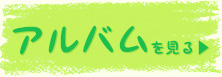 アルバムを見る