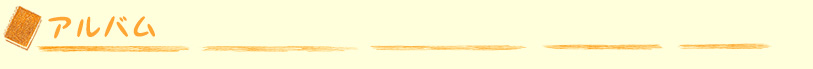 アルバム