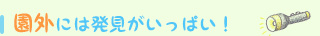 園外には発見がいっぱい